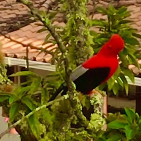Casablanca Διαμέρισμα Jardín Εξωτερικό φωτογραφία