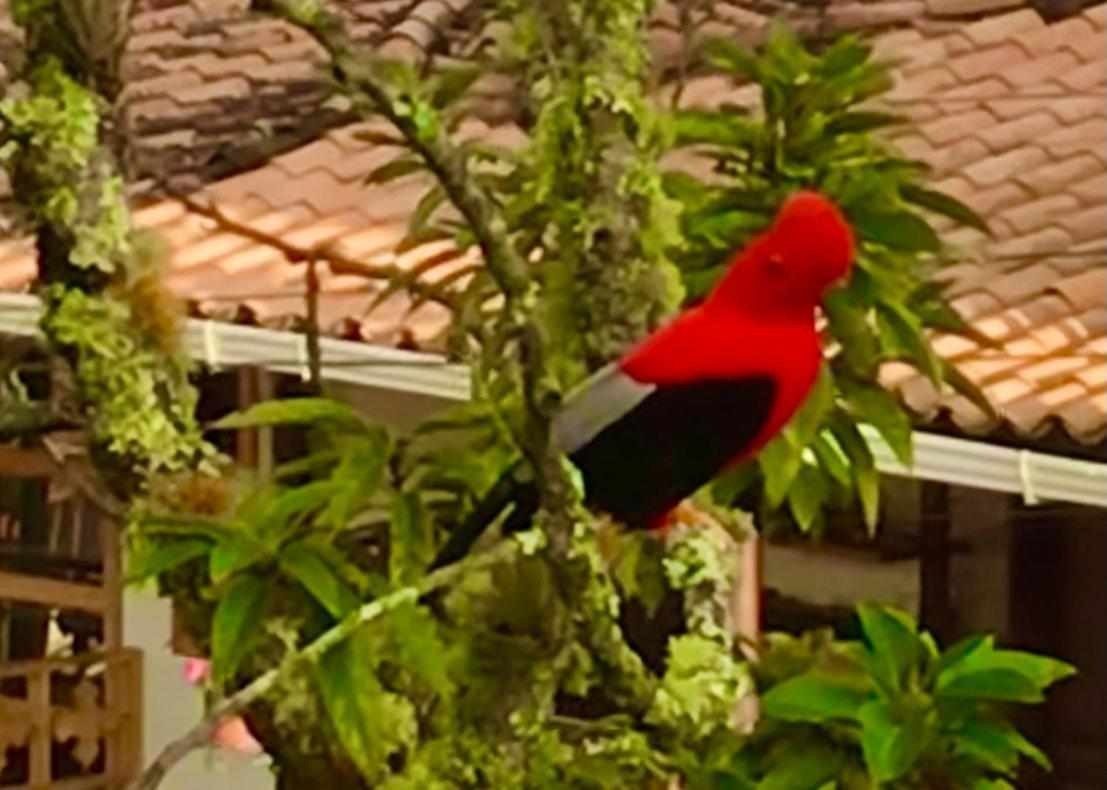 Casablanca Διαμέρισμα Jardín Εξωτερικό φωτογραφία